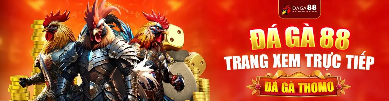 Đá gà trực tiếp tại MCW888