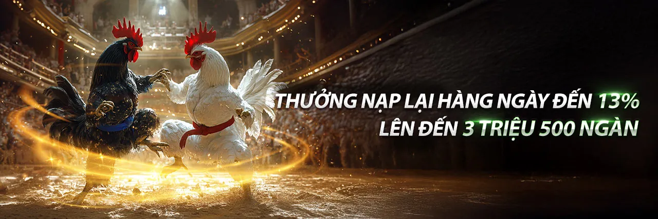 Hình ảnh chính: Chiến lược tối đa hóa lợi nhuận tại mcw888